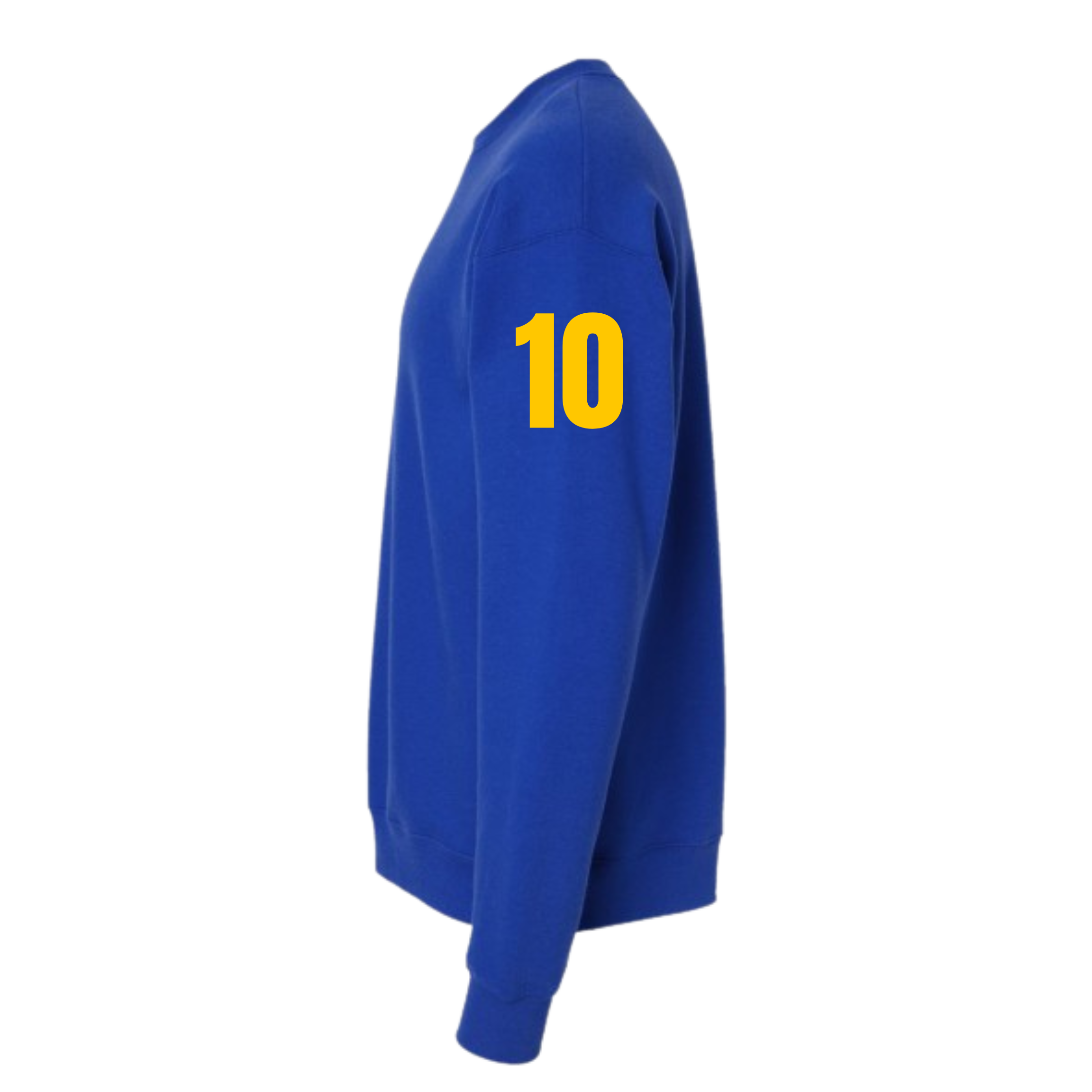 AOS- Fall 2024 TORCH Class